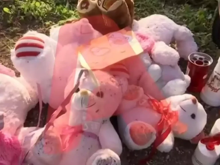 Θρίλερ στην Πάτρα: Στα σκουπίδια οι χειροτεχνίες που ήταν στους τάφους της Μαλένας και της Ίριδας