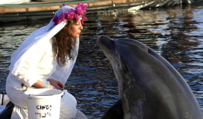Γυναίκα παντρεύτηκε δελφίνι κι έμεινε χήρα σε μήνες: «Είμαι μονογαμική, δεν θα ξαναπαντρευτώ»
