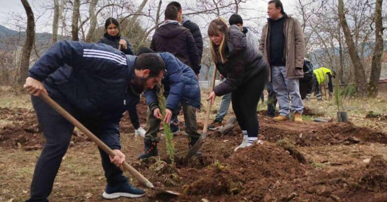 Τραγωδία στα Τέμπη: Φοιτητές φύτεψαν 57 κυπαρίσσια στην μνήμη των θυμάτων