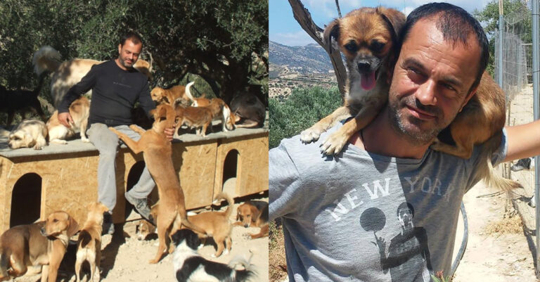 Τakis Shelter: Παράτησε τα πάντα κι έφτιαξε καταφύγιο – «Έχω βρει σκυλί με σχισμένο δέρμα από μαχαίρι.Μου επέστρεψαν 10 απ’τα 12 σκυλιά που υιοθέτησαν Έλληνες -υπάρχει έλλειψη παιδείας»