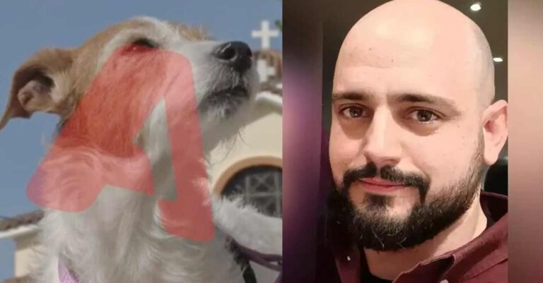 Τραγωδία στα Τέμπη: Το σκυλάκι της Δάφνης και του Βάιου τριγυρνούσε στα συντρίμμια και τους αναζητούσε