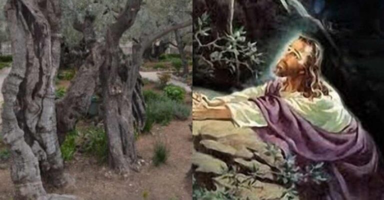 Ιησούς Χριστός: Αuτός είναι ο ιερός τόπος, που προσευχήθηκε για τελευταία φορά, πριν την μαρτuρική σταύpωση