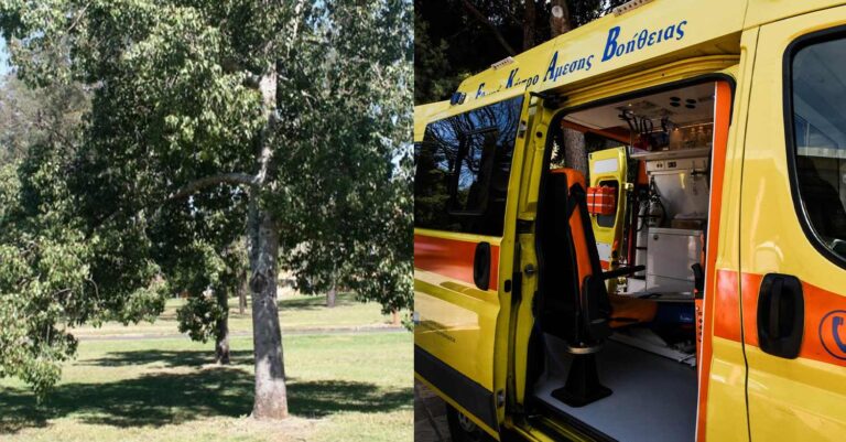 Τραγικό τέλος: «Φεύγω για την αρρώστια μου» έγραψε και έβαλε τέλος στη ζωή του – Τον βρήκε το παιδί του