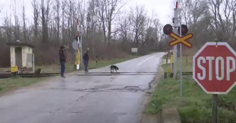 Σέρρες: Σεκιούριτι στη θέση… σταθμάρχη – Ελλείψει άλλων μέτρων, φυλάνε σιδηροδρομική διάβαση