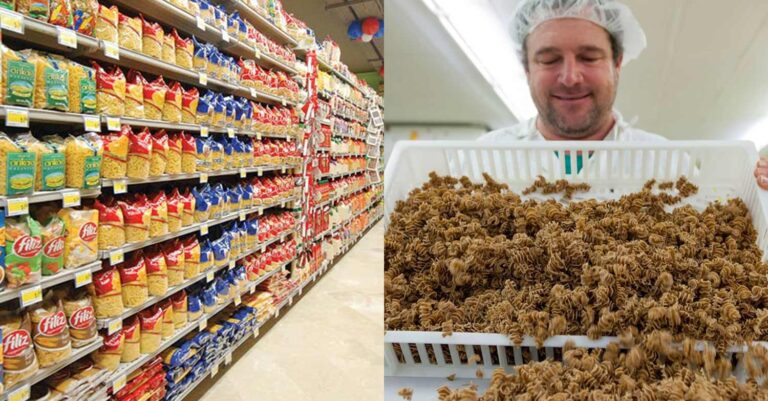 Τρόφιμα με αλεύρι από γρύλο, αλευροσκουλήκι και ακρίδα – Πως θα τα εντοπίσετε