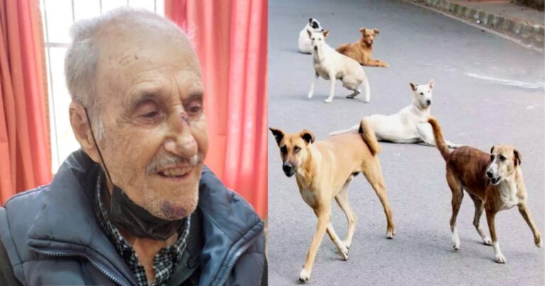 Τον κατασπάραξαν: Αυτός είναι ο άτυχος 93χρονος που του επιτέθηκε αγέλη σκύλων έξω από το σπίτι του στον Βόλο