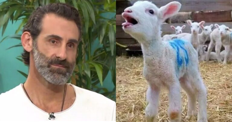 «Είναι 2 μηνών μωρό, μια ψυχούλα που θέλει να ζήσει και όχι εμπόρευμα»: Ράκος ο Κοψιδάς με το σούβλισμα αρνιών