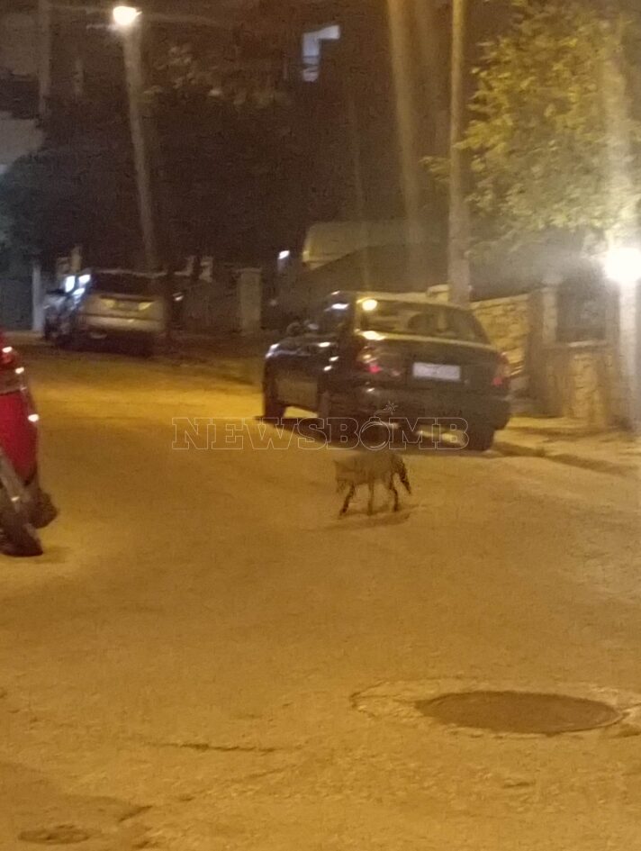 343697945 2349748131869981 1128832615354318182 n