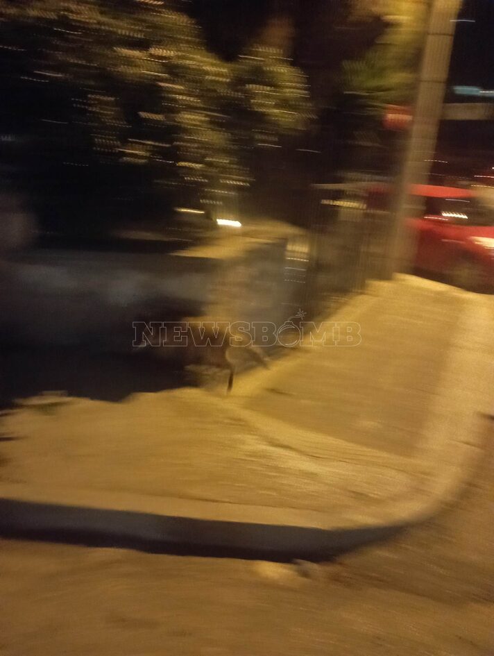 343720911 799142321598372 5075320502301125995 n