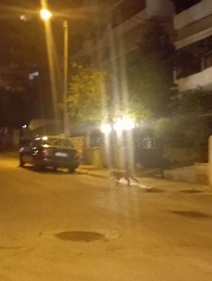 343728984 986848099146060 6620420497058044385 n