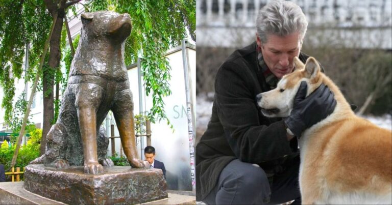 Η αληθινή ιστορία του Χάτσικο: Ο σκύλος που με το θάνατό του έκανε μια ολόκληρη κοινωνία να βυθιστεί στο πένθος