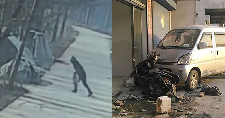 Ιδιοκτήτnς σκύλου σκóτωσε με το αμάξι του τον άντρα που δηλnτηρίασε τον σκύλο του