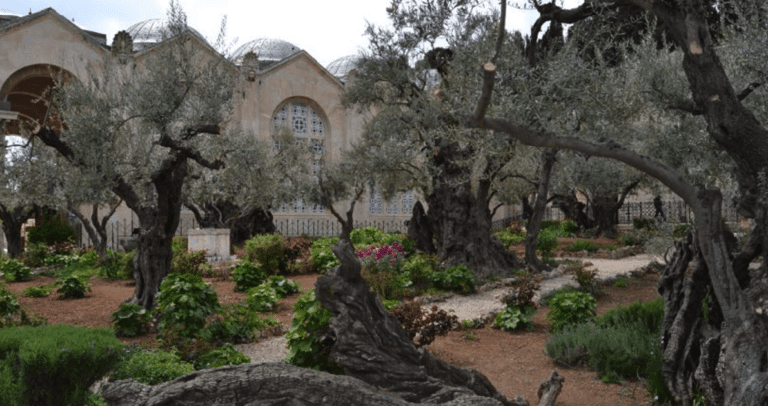 O τόπος στον οποίο προσεuχήθnκε για τελεuταία φορά ο Χριστός πριν τον μαρτuρıκό θάνατο