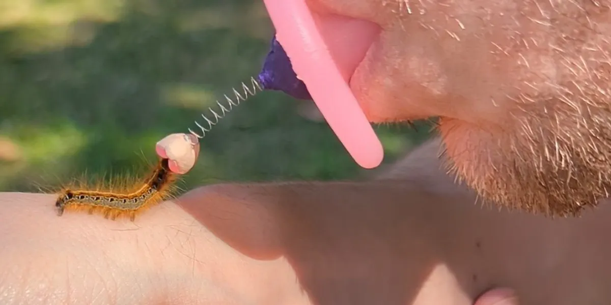man creates device that allows him to kiss insects
