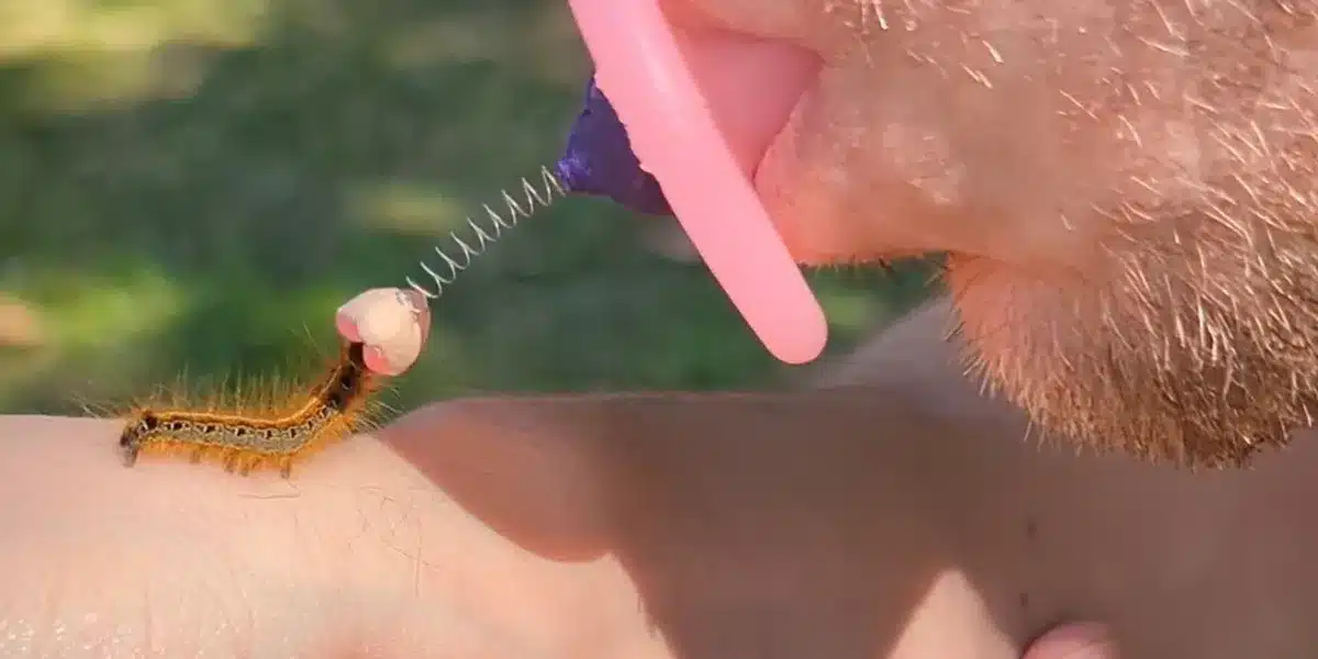 man creates device that allows him to kiss insects