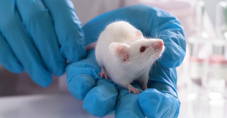 Επαναστατικό! Επιστήμονες ανακάλυψαν φάρμακο που «νίκησε» τον καρκίνο εγκεφάλου σε ποντίκια