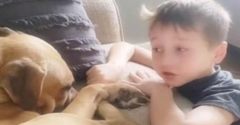 «Θα σε αγαπάμε» – 7χρονος παρηγορεί τον κακοποιημένο σκύλο που μόλις υιοθέτησαν και έγινε viral