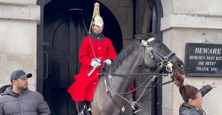 Βρετανία: Άλογο της βασιλικής φρουράς δάγκωσε την κοτσίδα τουρίστριας