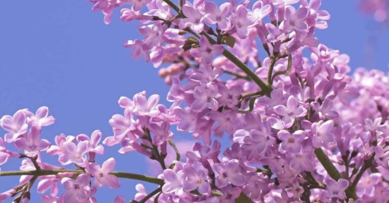 Γιατί αγαπάω -πάντα αγαπούσα- τη Μ. Εβδομάδα και το Πάσχα