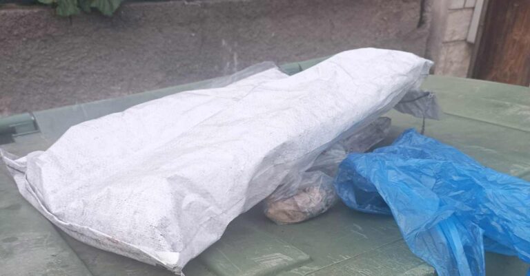 Φρίκη στον Βόλο: Έδεσαν σε τσουβάλι νεογέννητα γατάκια και τα πέταξαν στον κάδο – Δείτε τις εικόνες