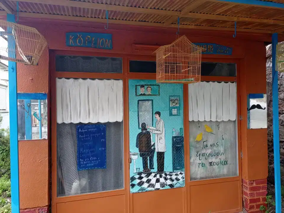 344585265 2466736156811593 2957885326706762233 n.jpg