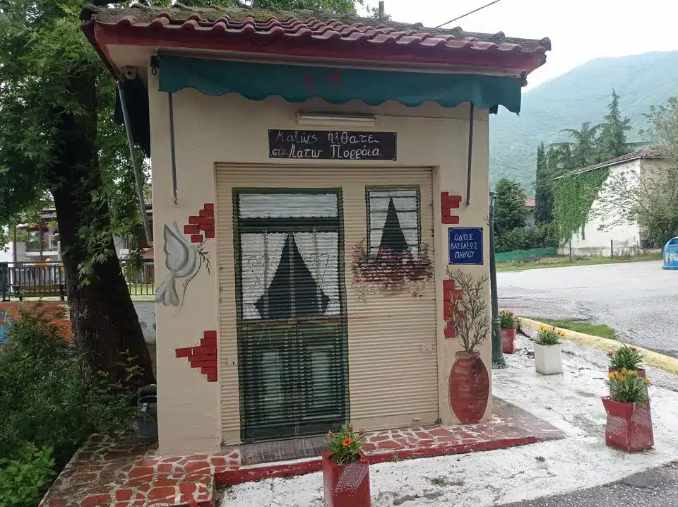 344711206 1204233453573241 2411545171026978089 n.jpg