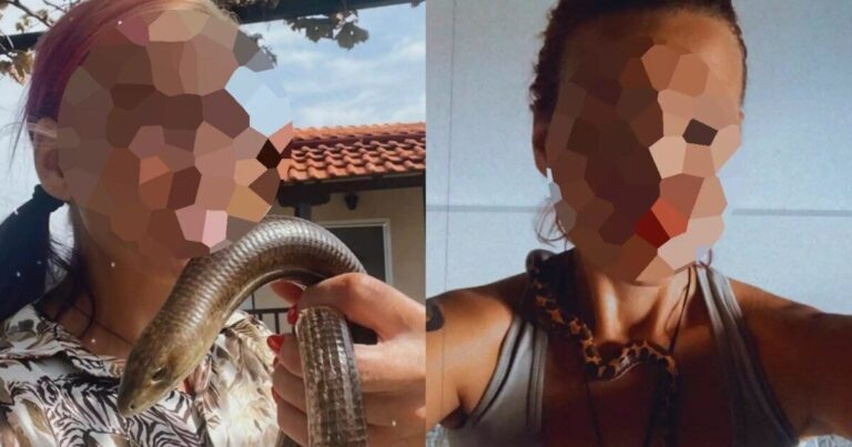 Χαροπαλεύει η 43χρονη ερπετολόγος που δαγκώθηκε από φίδι: Το μοιραίο λάθος, το αντίδοτο & η μάχη των γιατρών