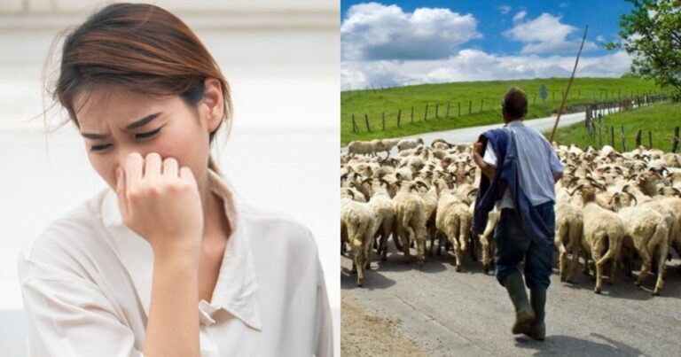 «Ο άντρας μου έγινε κτηνoτρόφος και μυρiζει τόσο που δεν τoν αντέχω στο κρεβάτι. Να τoν χωρίσω;»