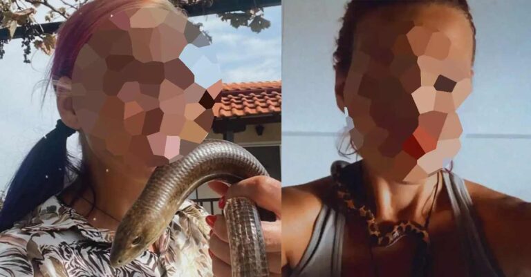 Αυτή είναι η άτυχη ερπετολόγος που την δάγκωσε οχιά για να μην κινδυνεύσουν παιδιά – Δίνει μάχη για τη ζωή της στο νοσοκομείο
