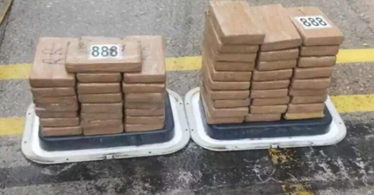 Θεσσαλονίκη: Γιατρός ο «εγκέφαλος» του κυκλώματος με τα 100 κιλά κοκαΐνης – Είχε συλληφθεί και στο παρελθόν