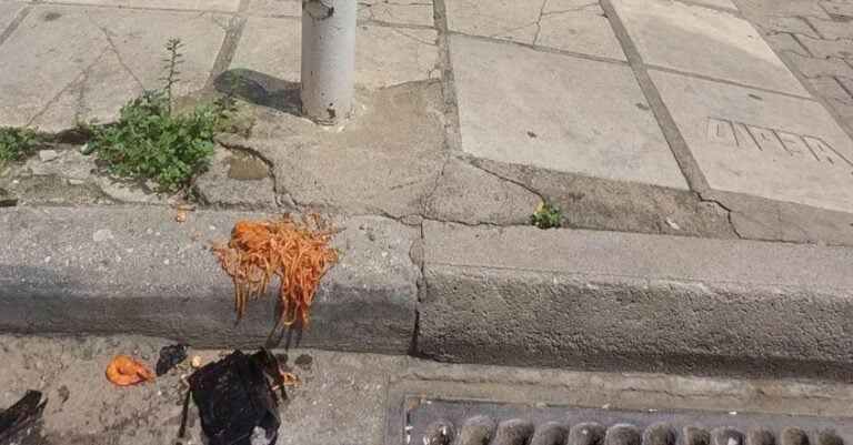 Φρίκη στην Θεσσαλονίκη: Ξυλοκόπησαν θανάσιμα 52χρονο επειδή… τάιζε αδέσποτα! Αδέρφια οι δολοφόνοι