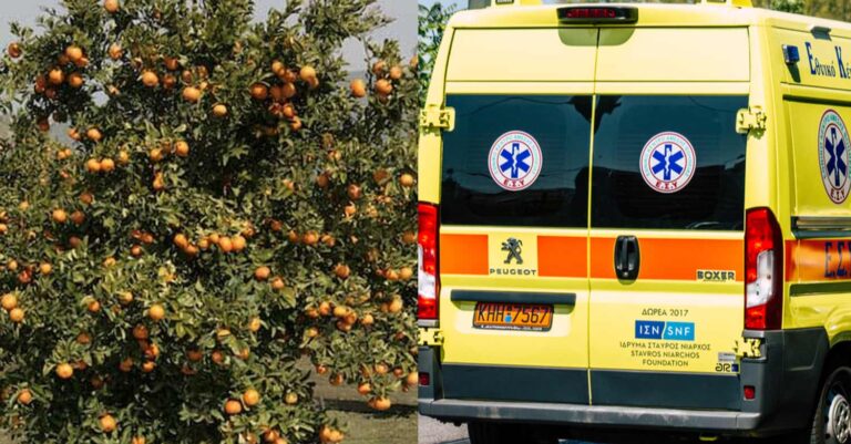 Πρωτομαγιάτικη τραγωδία: Ανέβηκε σε σκάλα για να μαζέψει φρούτα, έπεσε και σκοτώθηκε