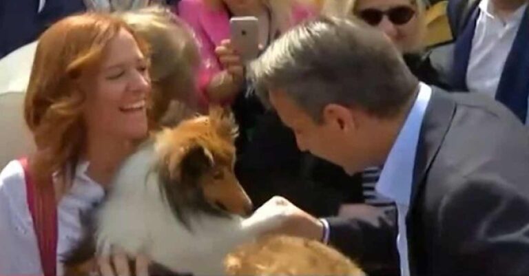 Κυριάκος Μητσοτάκης: Έκανε χειραψία με σκύλο λίγο πριν ψηφίσει