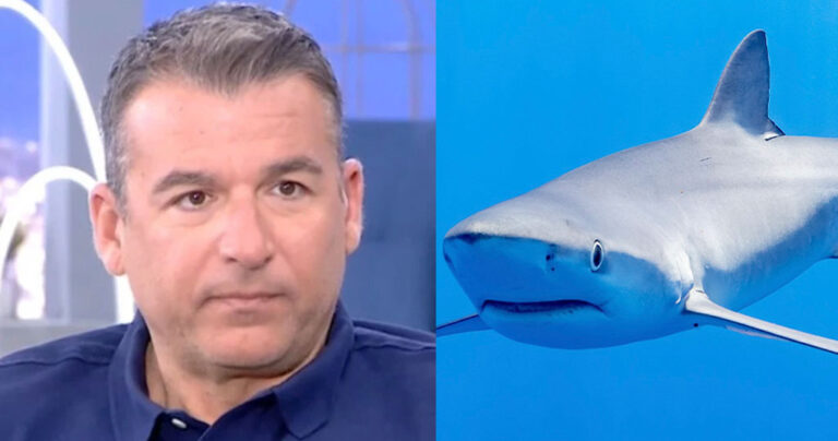 Γιώργος Λιάγκας: Συναντήθηκε με καρχαρία και ο καρχαρίας τρόμαξε και απομακρύνθηκε