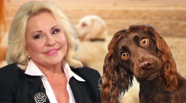 Μπέσσυ Αργυράκη: «Πήρα κατά λάθος το χάπι του σκύλου μου»