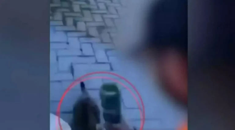 Θάσος: Κύμα οργής στα social media για τον… «νταή» που επιτέθηκε σε γάτα με μπουκάλι μπύρας