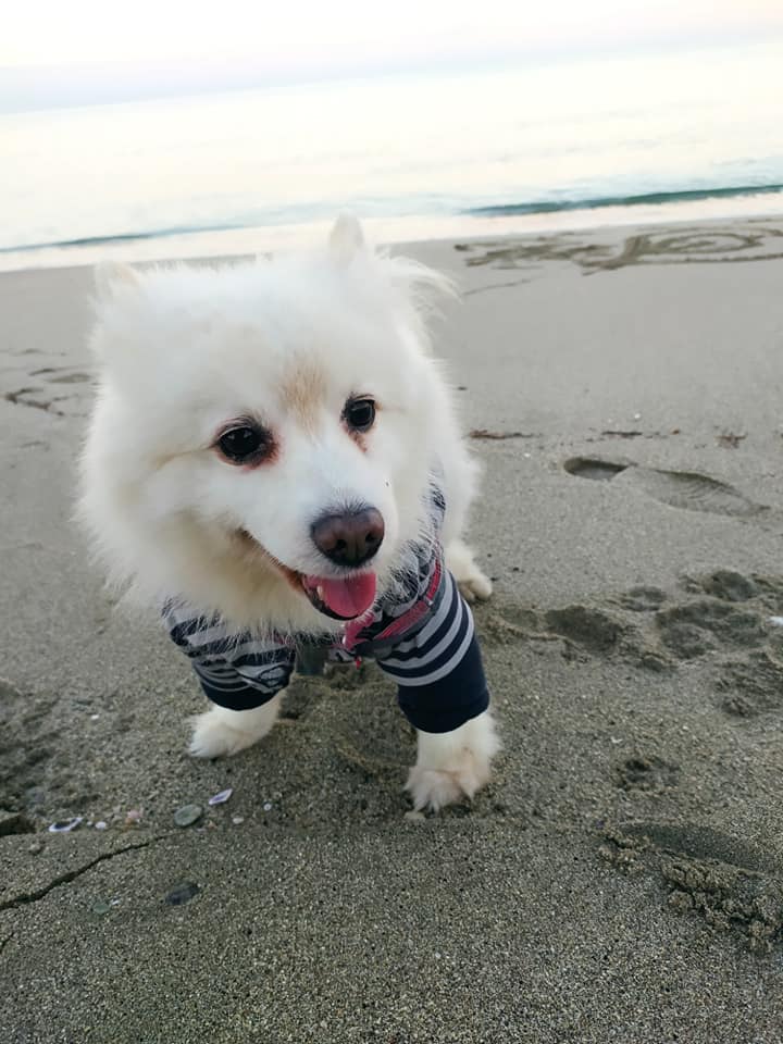 263291329 1261691944344273 4156943730426514351 n