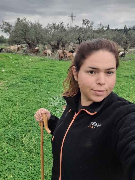 Άστρος Κυνουρίας: Η μικρή τσελιγκοπούλα με τα 400 γίδια που κρατά ψηλά τη σημαία της αιγοτροφίας 3 326677411 919728419195621 8569418126903180531 n