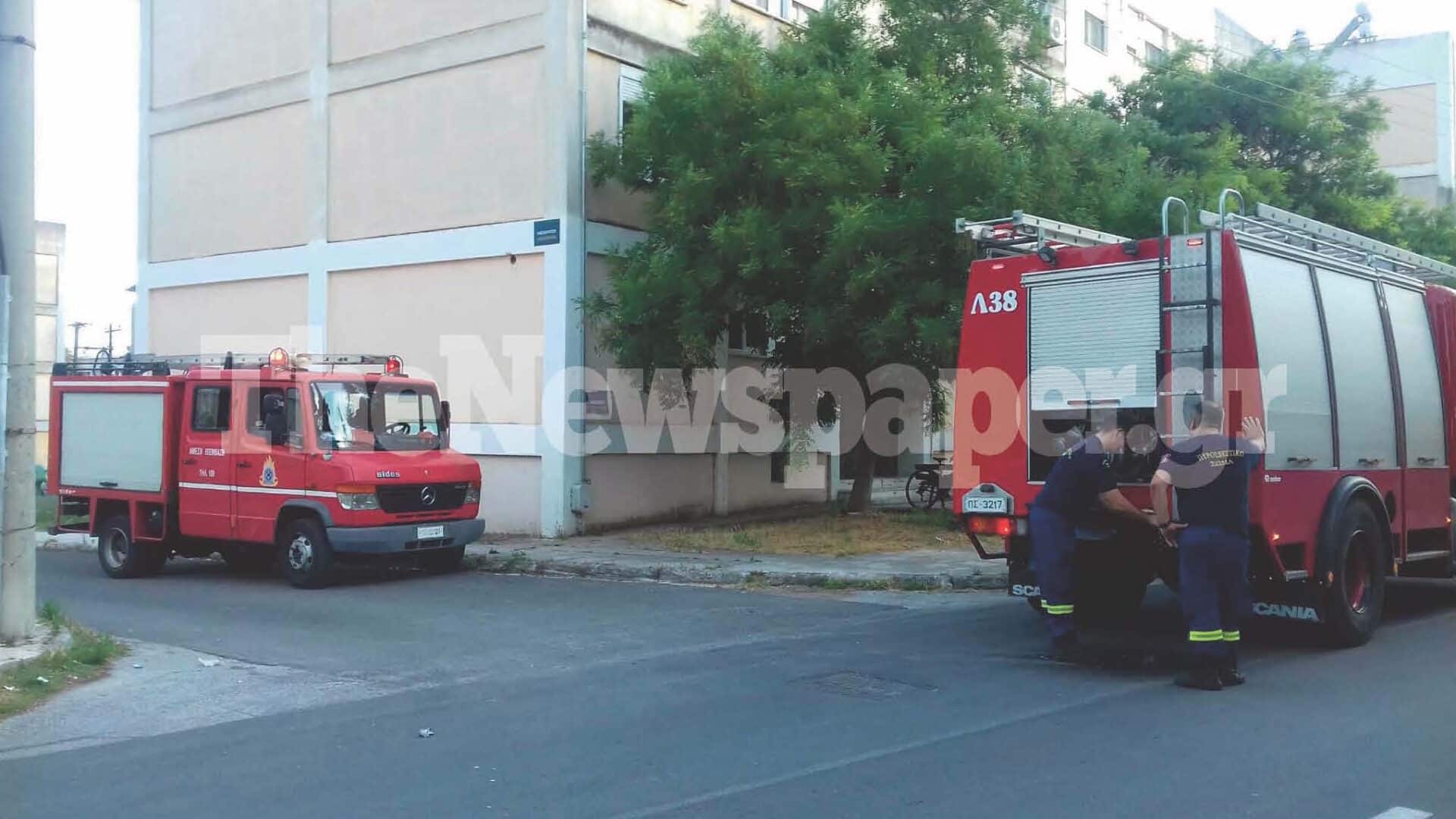 337 page 5 1920x1080 1