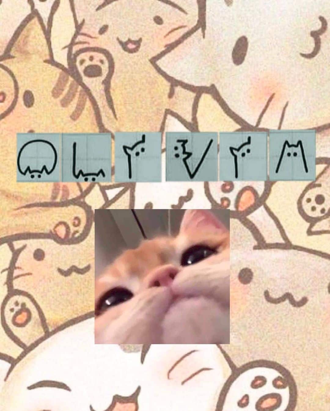 351108277 517692813785093 4414063220014885144 n