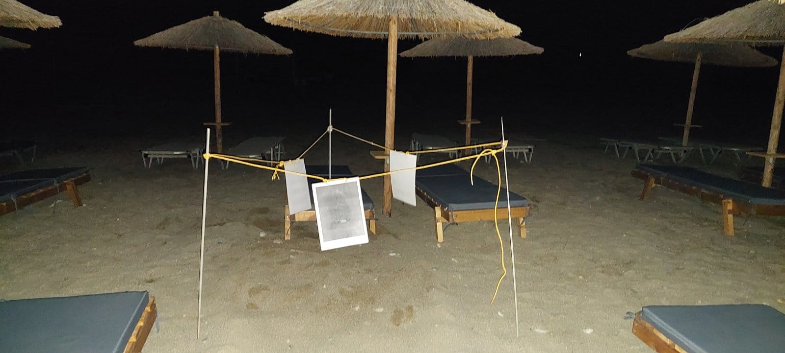 355878164 10160411819446855 4591808903136880217 n