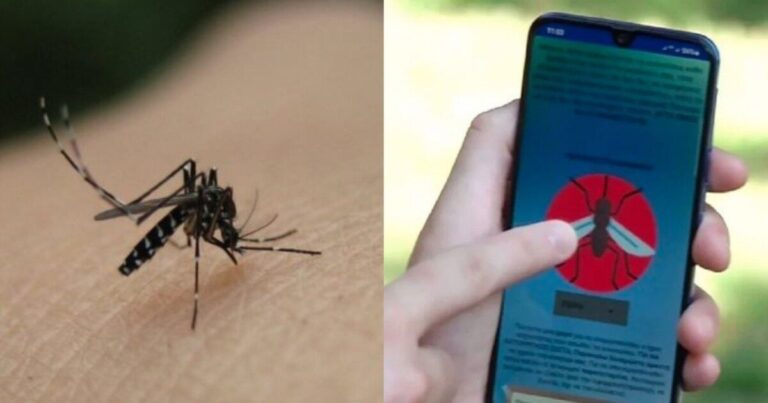 Έχει ήδη 95.000 λήψεις: «Δαιμόνιος» Έλληνας έφτιαξε εφαρμογή που διώχνει κουνούπια και κατσαρίδες & σαρώνει