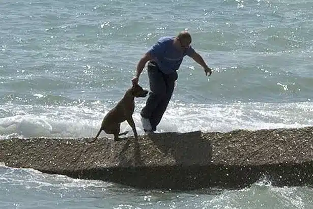 Αποτρόπαιο περιστατικό: Κάμερα κατέγραψε ιδιοκτήτη να πετάει τον σκύλο του στην θάλασσα 15 dog treatment 901758801