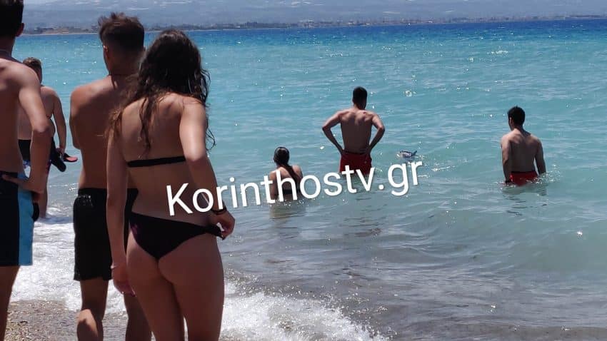 Κορινθία: Ξεβράστηκε νεκρό το δελφινάκι που είχε χάσει τον προσανατολισμό του 4 img 20230603 151010 850x478 1