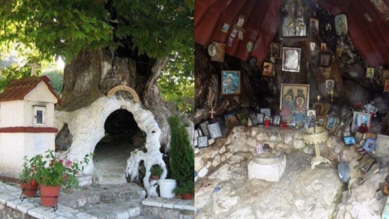 Μαγεύει και συγκινεί: Πλάτανος που άντεξε πόλεμο και πυρκαγιά, μετατράπηκε σε εκκλησάκι της Παναγίας