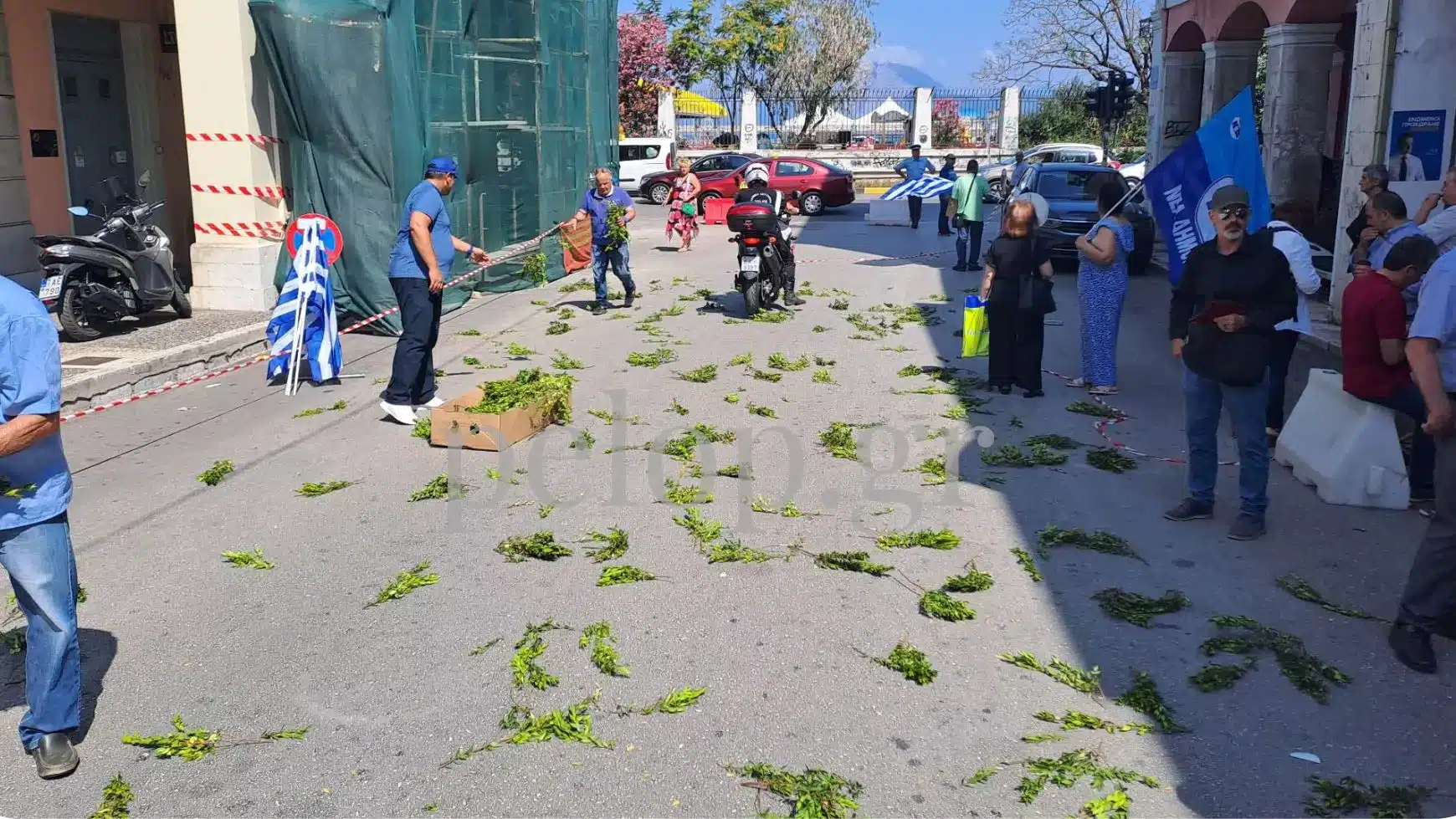 pelopgr 2 2.jpg