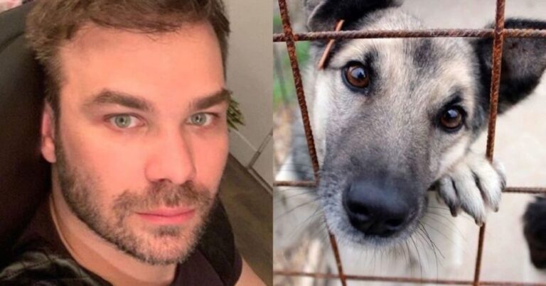 Πολλά συγχαρητήρια! Το βιντεοκλίπ του Γιώργου Σαμπάνη με θέμα τα αδέσποτα στη χώρα μας