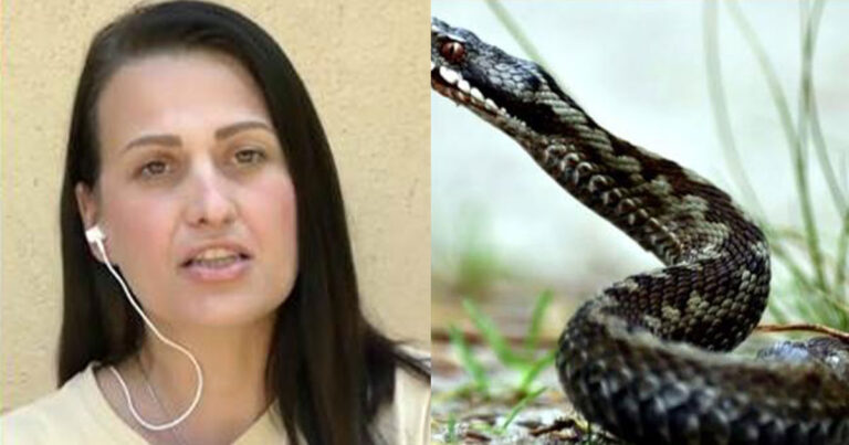 «Ήμουν κλινικά νεκρή για 8 ημέρες»: Συγκλονίζει η 39χρονη που τη δάγκωσε οχιά στη Θεσσαλονίκη