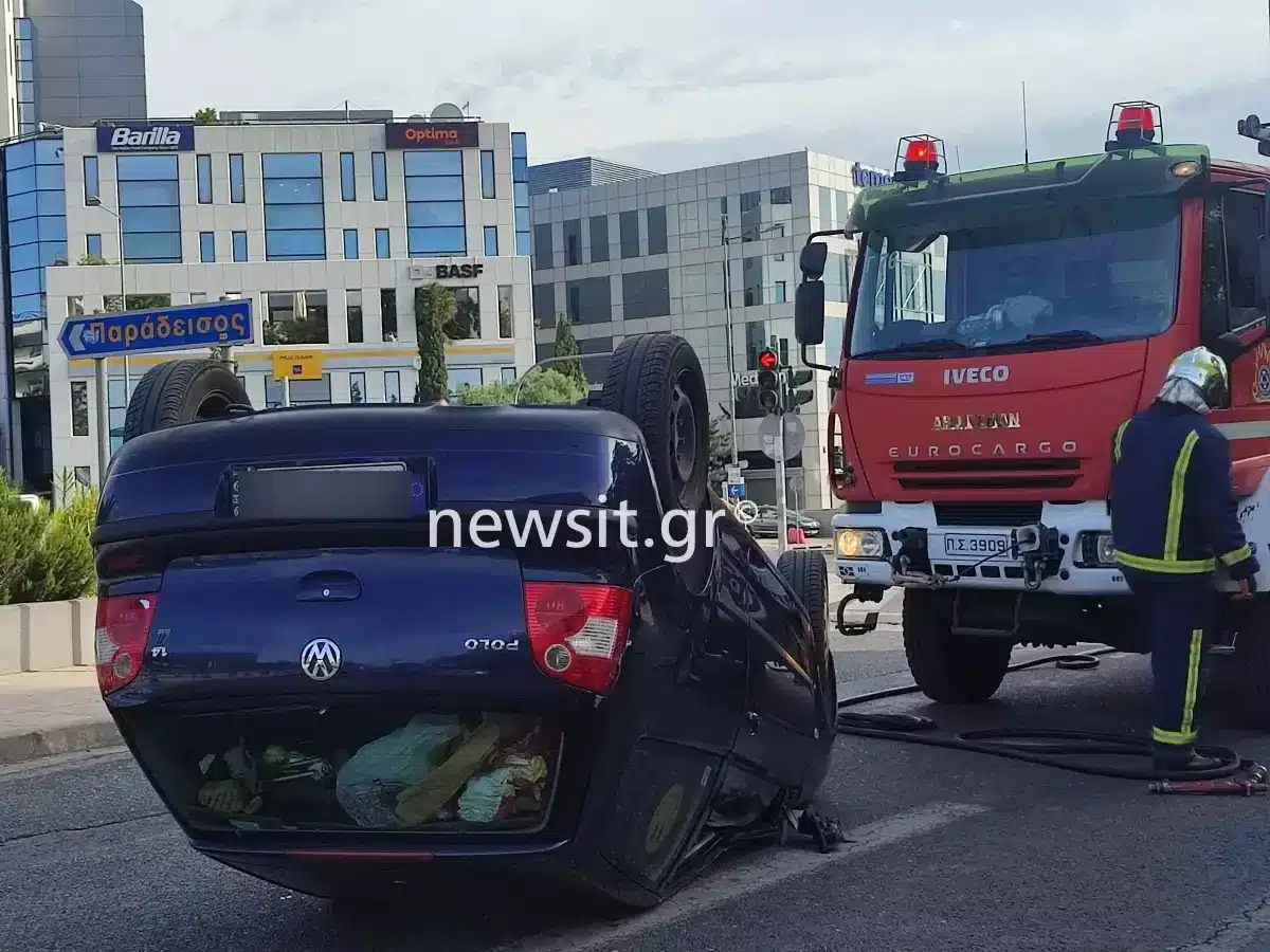 troxaiosouzi10 1