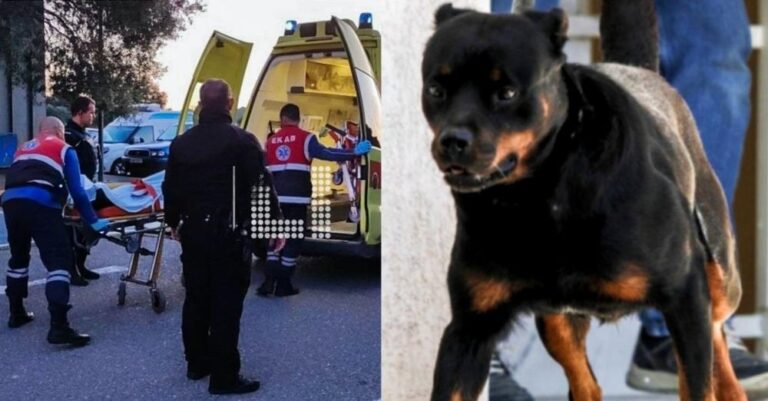 Τον κατασπάραξε: Άτυχος 62χρονος δέχτηκε σφοδρή επίθεση από αδέσποτο σκύλο έξω από το σπίτι του